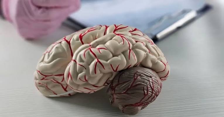 Brain Injury
