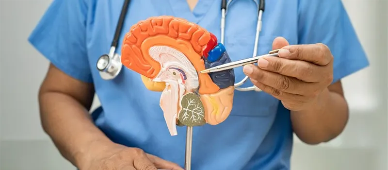 Complete Guide to Brain Injury in 2026