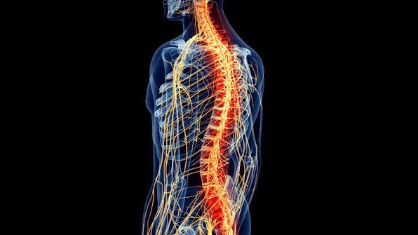 Spinal Cord Injury