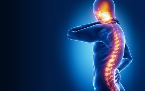 Spinal Cord Injury