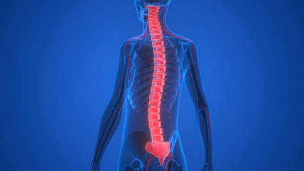 State Laws Affecting Spinal Cord Injury in the US
